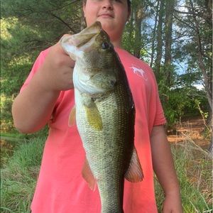 Meet your Posher, Evan